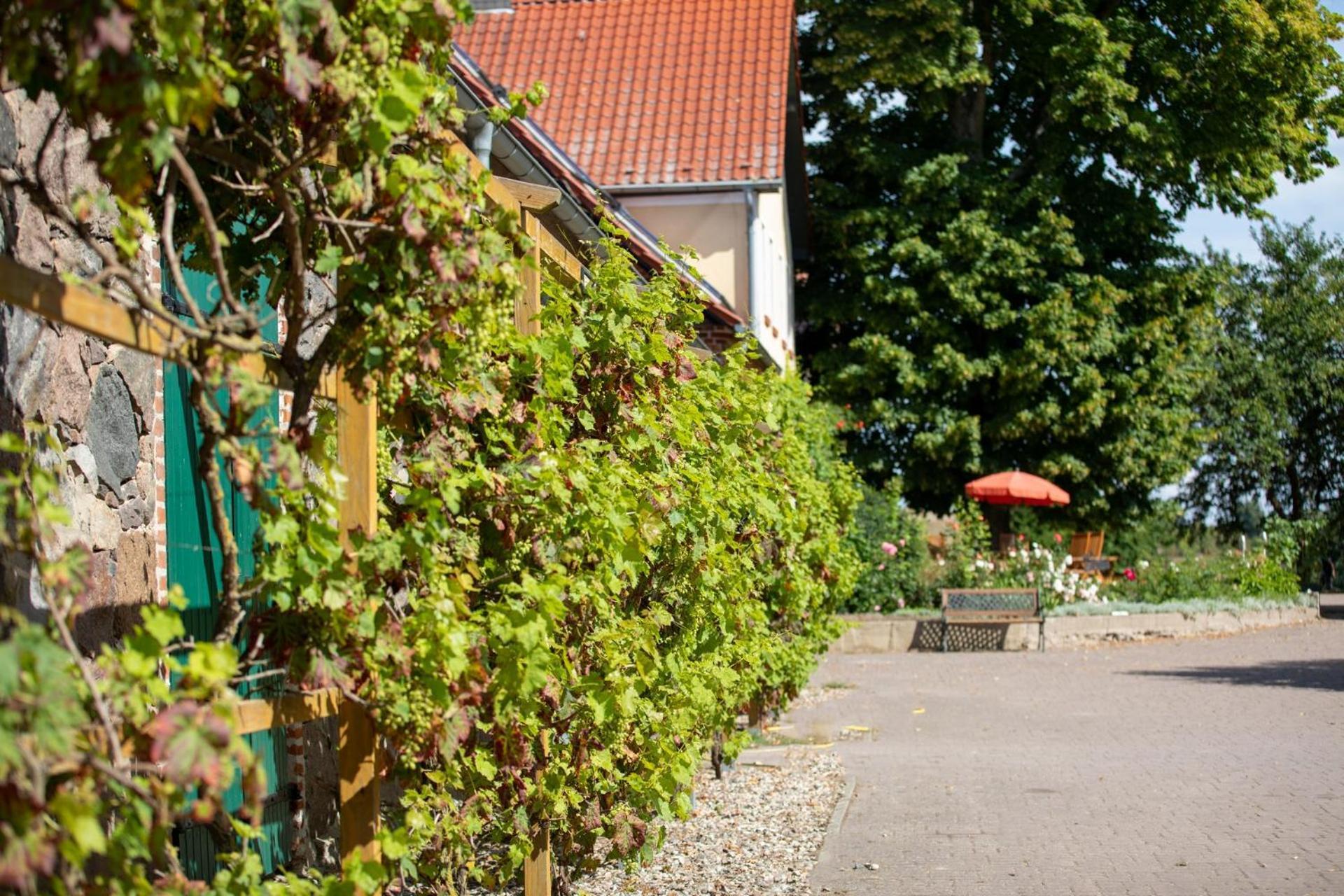 Ferienwohnung Landurlaub Auf Dem Mellenhof Funkenhagen Exterior foto