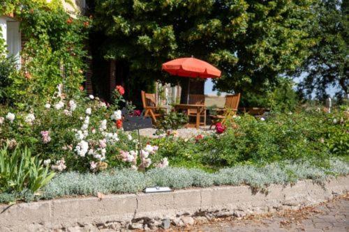 Ferienwohnung Landurlaub Auf Dem Mellenhof Funkenhagen Exterior foto